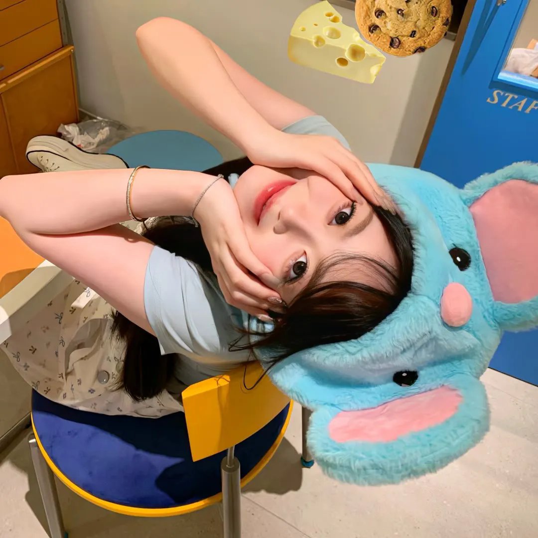 兔年